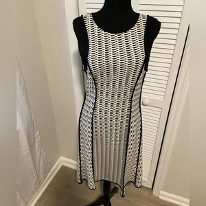 Yoana Baraschi dress